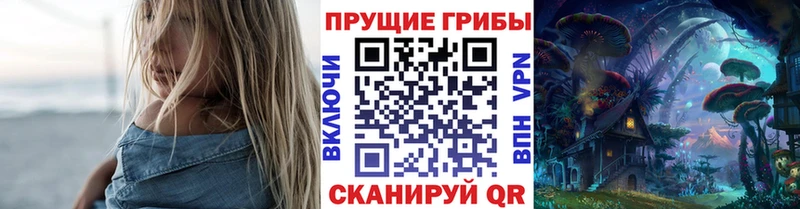 Галлюциногенные грибы GOLDEN TEACHER  цены   Очёр 